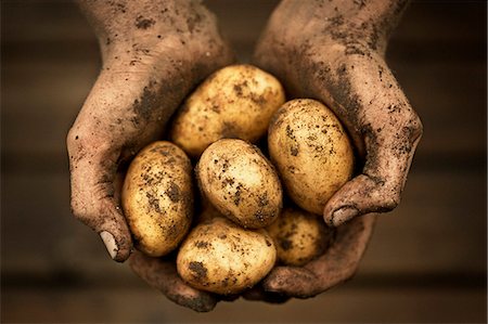 paper - Hands holding potatoes, studio shot Foto de stock - Sin royalties Premium, Código: 6102-07602637