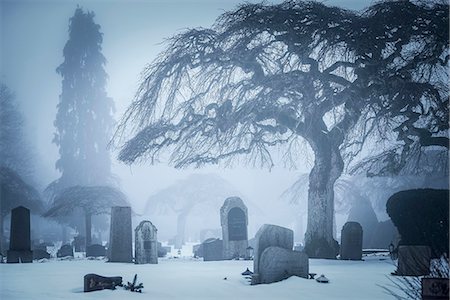 Graveyard in winter fog Stock Photo - Premium Royalty-Free, Code: 6102-07768526