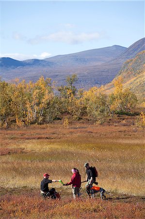 simsearch:6102-06337050,k - Men hunting, Nikkaluokta, Norrbotten, Lapland, Sweden Stock Photo - Premium Royalty-Free, Code: 6102-07768675