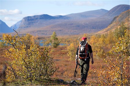 simsearch:6102-06337050,k - Man hunting, Nikkaluokta, Norrbotten, Lapland, Sweden Stock Photo - Premium Royalty-Free, Code: 6102-07768676