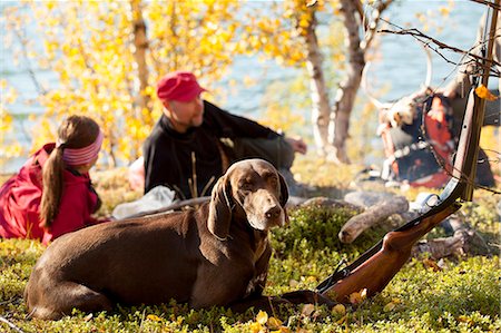 dogs in nature - Hunters resting, Nikkaluokta, Norrbotten, Lapland, Sweden Stock Photo - Premium Royalty-Free, Code: 6102-07768681