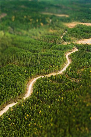 simsearch:6102-06026084,k - Aerial view of road going through forest Stock Photo - Premium Royalty-Free, Code: 6102-07789772