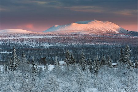 scandinavia - Winter landscape at dusk Photographie de stock - Premium Libres de Droits, Code: 6102-07789986