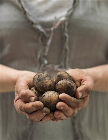 simsearch:6102-06965816,k - Hands holding new potatoes Stock Photo - Premium Royalty-Free, Code: 6102-07842827