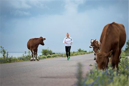 simsearch:6102-08120697,k - Man running, cows on roadside Foto de stock - Sin royalties Premium, Código: 6102-07844053