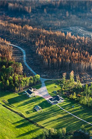 exterior color for house in the forest - Aerial view of autumn forest and road Stock Photo - Premium Royalty-Free, Code: 6102-08000512