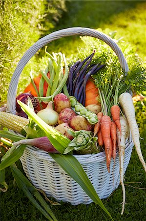 swedish - Vegetables in basket Stock Photo - Premium Royalty-Free, Code: 6102-08001357