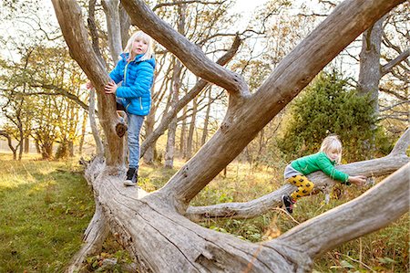 Girls playing in forest Stock Photo - Premium Royalty-Free, Code: 6102-08120855