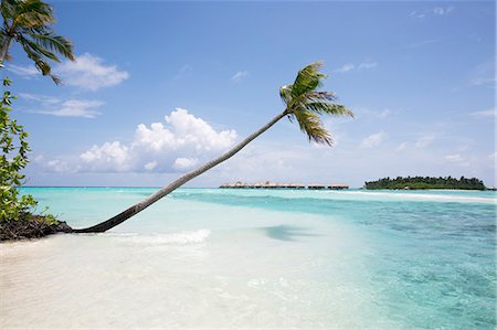 View of tropical beach Stock Photo - Premium Royalty-Free, Code: 6102-08384380