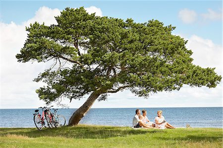simsearch:6102-08542382,k - Family resting under tree Stock Photo - Premium Royalty-Free, Code: 6102-08329700
