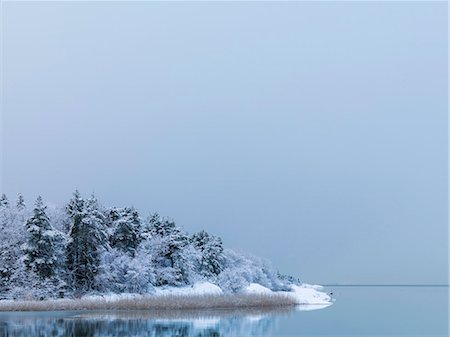 región costanera - Trees reflecting in lake in winter Foto de stock - Sin royalties Premium, Código: 6102-08542189
