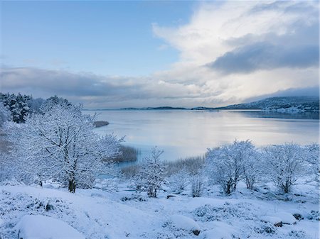 región costanera - Frozen lake in winter Foto de stock - Sin royalties Premium, Código: 6102-08542196