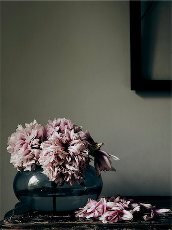Old pink flowers in vase Foto de stock - Sin royalties Premium, Código: 6102-08559202