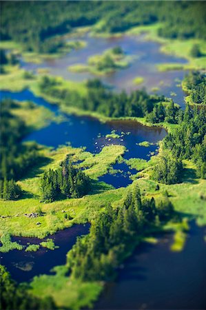 simsearch:6102-06026084,k - Swamp with tree Stock Photo - Premium Royalty-Free, Code: 6102-08566158