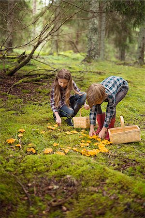 preteen girl - Brother and sister picking up mushrooms Stock Photo - Premium Royalty-Free, Code: 6102-08520597