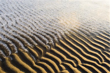 striped - Rippled sand Foto de stock - Sin royalties Premium, Código: 6102-08521022