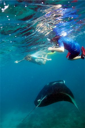 A woman and a young boy swiming with a Manta ray Stock Photo - Premium Royalty-Free, Code: 6102-08746462