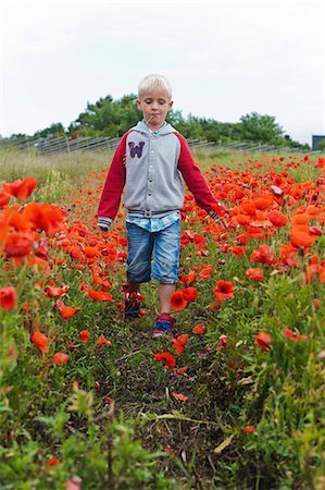 Boy walking in field of poppies Stock Photo - Premium Royalty-Free, Code: 6102-08760248