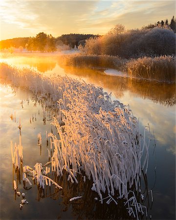 rivers and trees in winter - Scenic winter landscape at sunrise Stock Photo - Premium Royalty-Free, Code: 6102-08760484