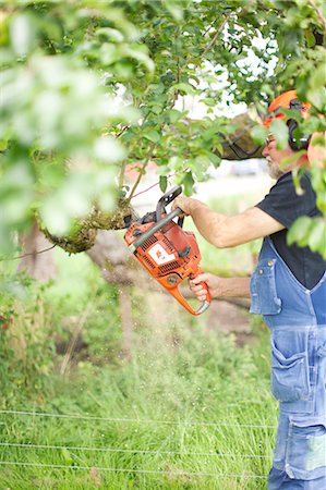 simsearch:6102-07158265,k - Senior man with chainsaw in garden Stock Photo - Premium Royalty-Free, Code: 6102-08760808
