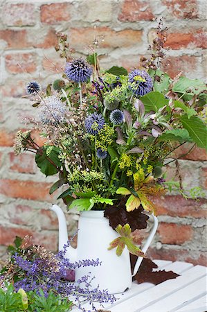 Autumn flowers in a tea pot vase Stock Photo - Premium Royalty-Free, Code: 6102-08761073