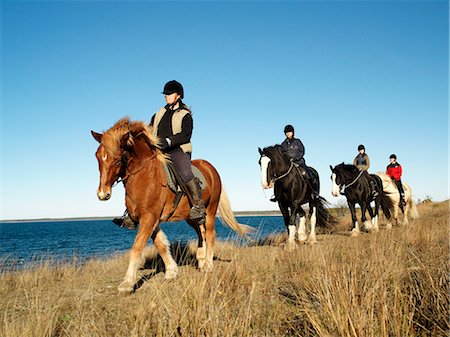 simsearch:6102-08542382,k - Horseback riding by the sea. Stock Photo - Premium Royalty-Free, Code: 6102-08768716