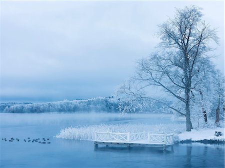 simsearch:6102-06337107,k - View of winter lakeshore Photographie de stock - Premium Libres de Droits, Code: 6102-08858731