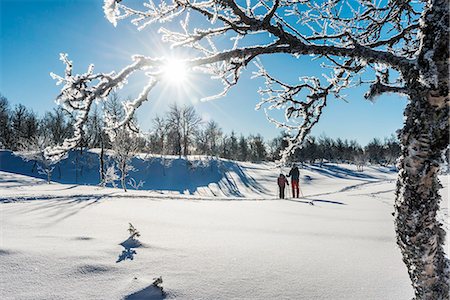 simsearch:6102-07158155,k - Two people snowshoeing at sunny day Stock Photo - Premium Royalty-Free, Code: 6102-08882362