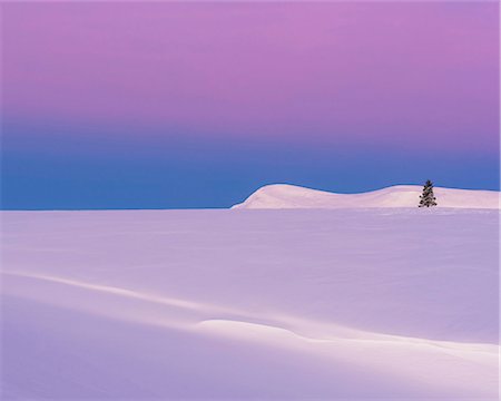 Winter landscape Stock Photo - Premium Royalty-Free, Code: 6102-08994714