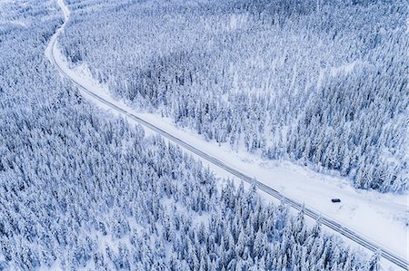 simsearch:6102-06026084,k - Winter road through forest Stock Photo - Premium Royalty-Free, Code: 6102-08996602