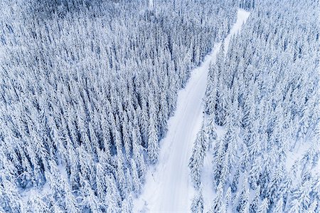 simsearch:6102-06026084,k - Winter road through forest Stock Photo - Premium Royalty-Free, Code: 6102-08996610