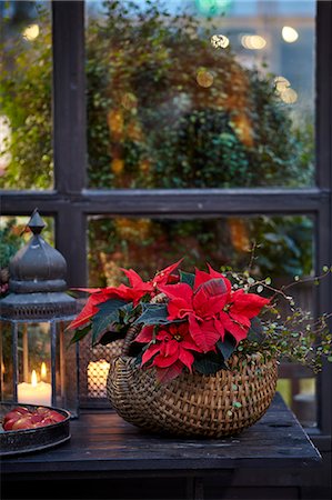 sweden window lamp - Creative flower decorations Stock Photo - Premium Royalty-Free, Code: 6102-08996709