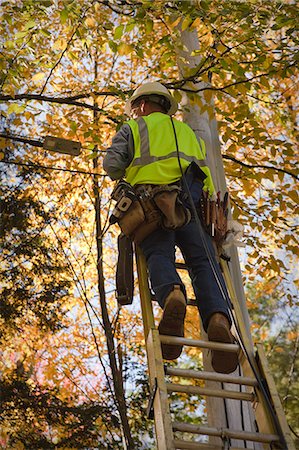 Engineer installing equipment on a power pole Stock Photo - Premium Royalty-Free, Code: 6105-05396608