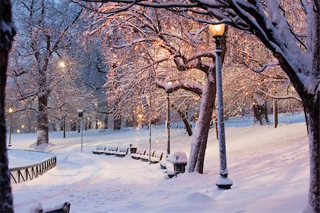 Snow covered trees with lampposts lit up in a public park, Boston Common, Boston, Massachusetts, USA Stock Photo - Premium Royalty-Free, Code: 6105-05396926