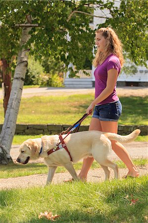 pictures of labrador dogs with people - Woman with visual impairment walking with her service dog Stock Photo - Premium Royalty-Free, Code: 6105-08211241