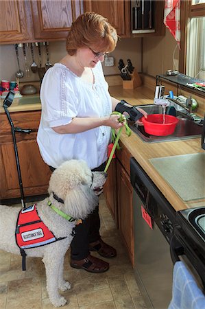 simsearch:6108-06167085,k - Poodle service dog with his master at the kitchen sink Stock Photo - Premium Royalty-Free, Code: 6105-08211215