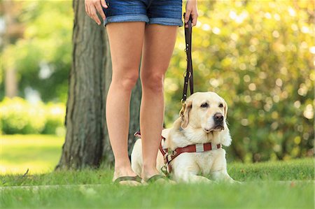 Woman with visual impairment with her sitting service dog Stock Photo - Premium Royalty-Free, Code: 6105-08211235