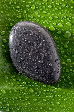 pebble - Waterdrops on a peeble, close-up Stock Photo - Premium Royalty-Free, Code: 6108-05857247