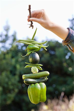 Woman's hand holding vegetables hanging on twig Stock Photo - Premium Royalty-Free, Code: 6108-05872607