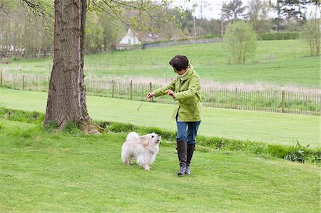 dog walking - Woman playing with her dog Stock Photo - Premium Royalty-Free, Code: 6108-06167063