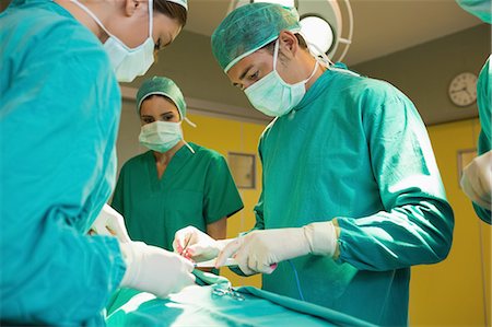 surgery not animal not dog - Concentrated surgeon operating Stock Photo - Premium Royalty-Free, Code: 6109-06195834