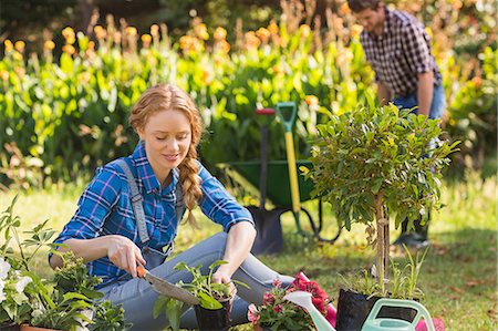 Happy young couple gardening together Stock Photo - Premium Royalty-Free, Code: 6109-08203098