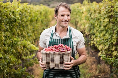 simsearch:6109-08204218,k - Happy winegrower holding a basket of grapes Stock Photo - Premium Royalty-Free, Code: 6109-08204206
