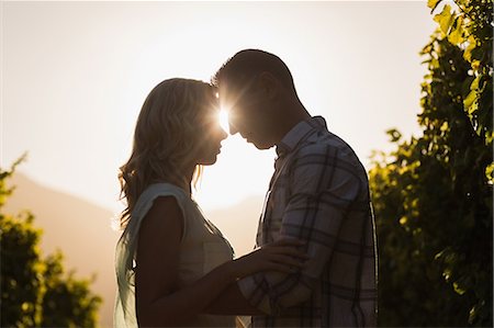simsearch:6109-08204218,k - Couple embracing and being about to kiss between grapevine at vineyard Stock Photo - Premium Royalty-Free, Code: 6109-08488645