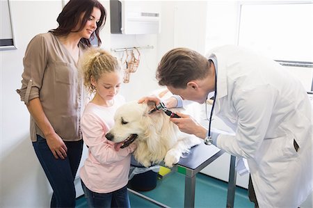 simsearch:6109-08537861,k - Veterinarian examining ear of dog with its owner Stock Photo - Premium Royalty-Free, Code: 6109-08536554