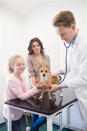 simsearch:6109-08537861,k - Veterinarian checking dog with stethoscope Stock Photo - Premium Royalty-Free, Code: 6109-08536559