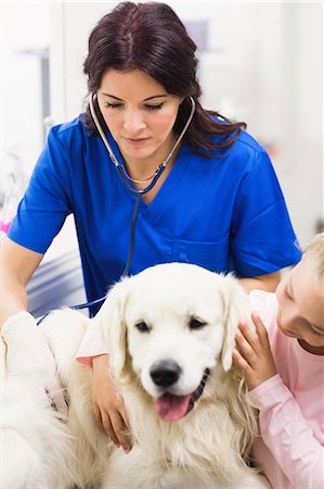 simsearch:6109-08537861,k - Veterinarian checking dog with stethoscope Stock Photo - Premium Royalty-Free, Code: 6109-08536528