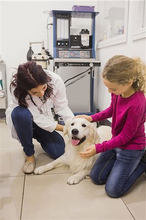 simsearch:6109-08537861,k - Girl petting her pet dog while vet examining Stock Photo - Premium Royalty-Free, Code: 6109-08536641