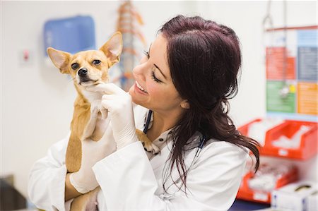 simsearch:6109-08537861,k - Happy veterinarian petting dog Stock Photo - Premium Royalty-Free, Code: 6109-08536648