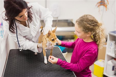 simsearch:6109-08537861,k - Veterinarian examining dog with its owner Stock Photo - Premium Royalty-Free, Code: 6109-08536649